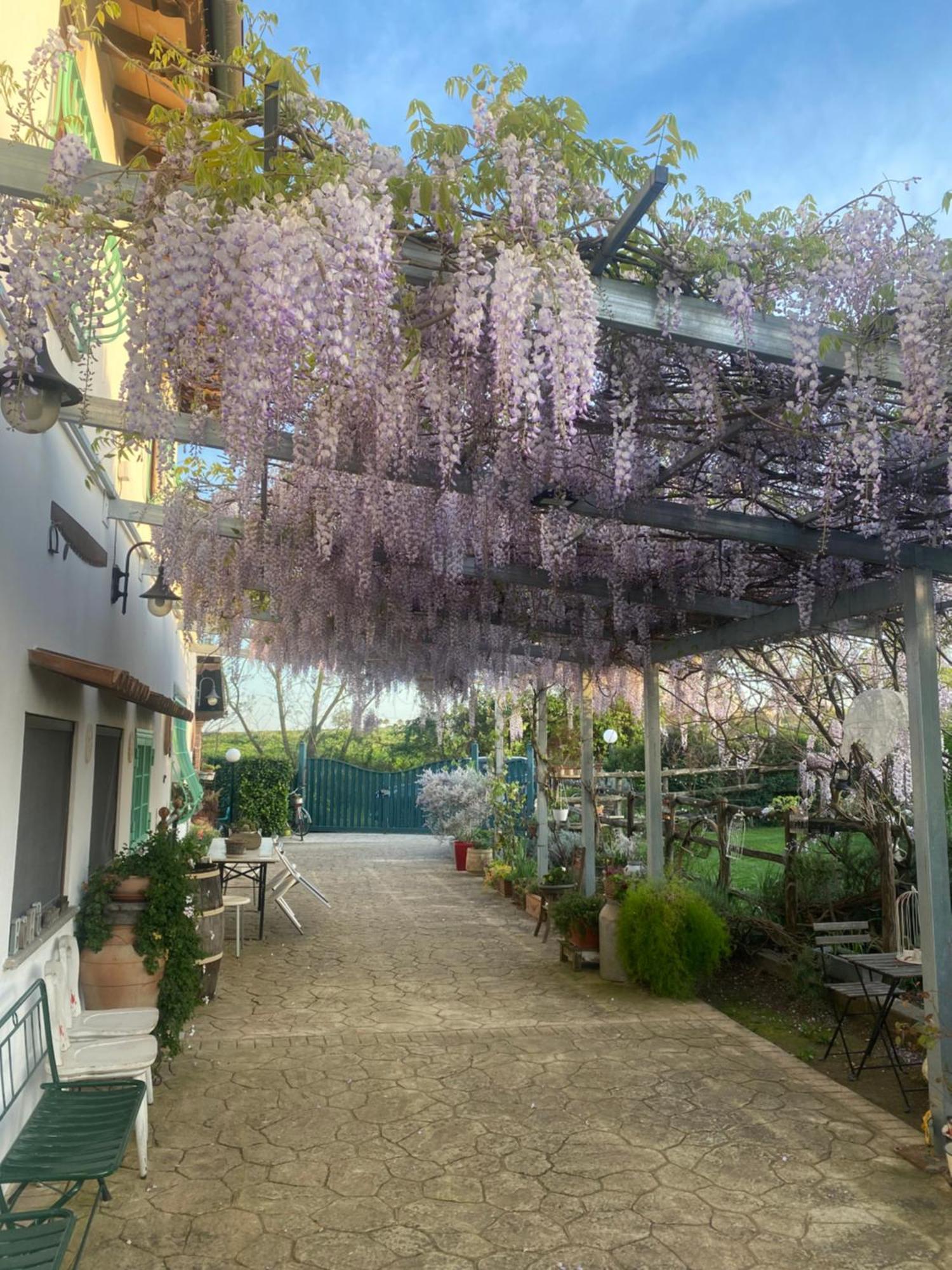 La Locanda Del Tevere Guest House ฟิอาโน โรมาโน ภายนอก รูปภาพ