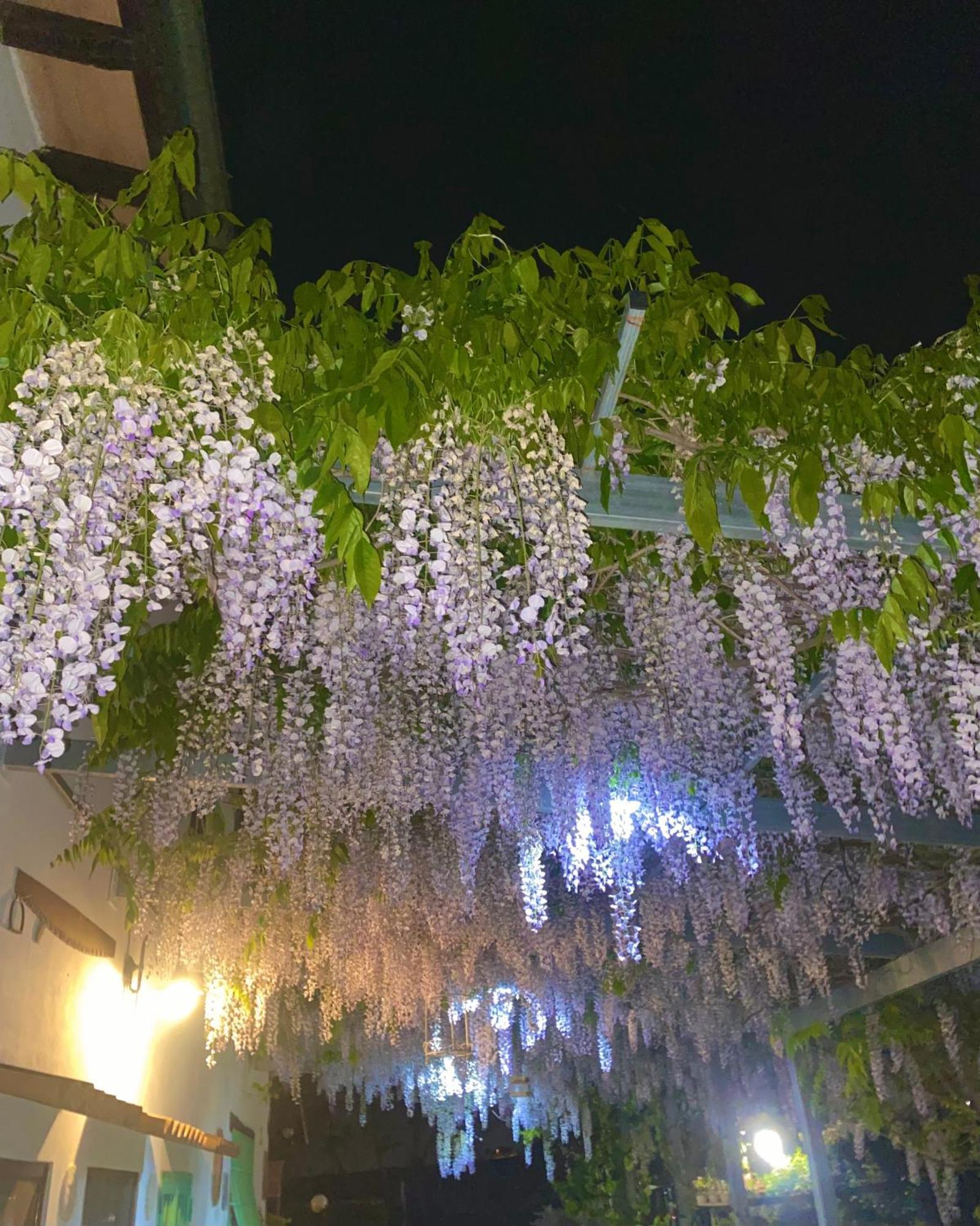 La Locanda Del Tevere ฟิอาโน โรมาโน ภายนอก รูปภาพ